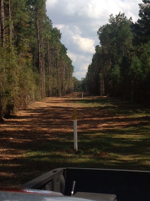 Right-of-way cleared by Chemical Weed Control